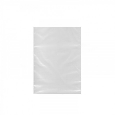 Sáček plochý (LDPE) silný transparentní 20 x 30 cm [100 ks]